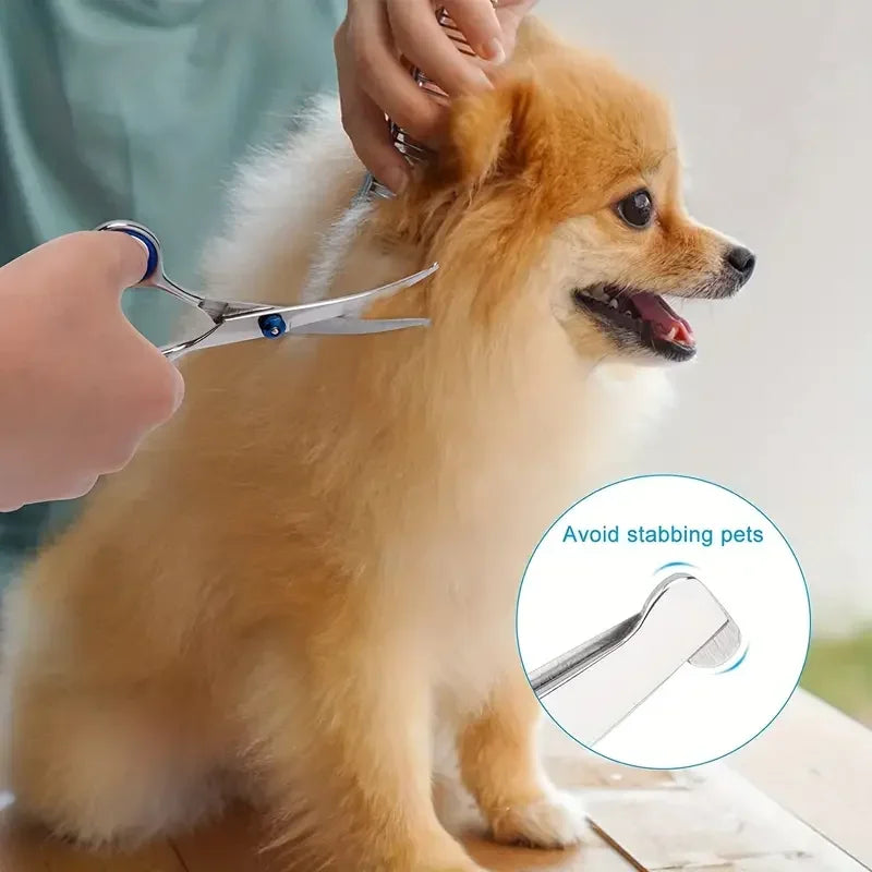 Professional Pet Grooming Scissors - Stainless Steel Safety-Tip Shears for Dogs & Cats, Ambidextrous Design